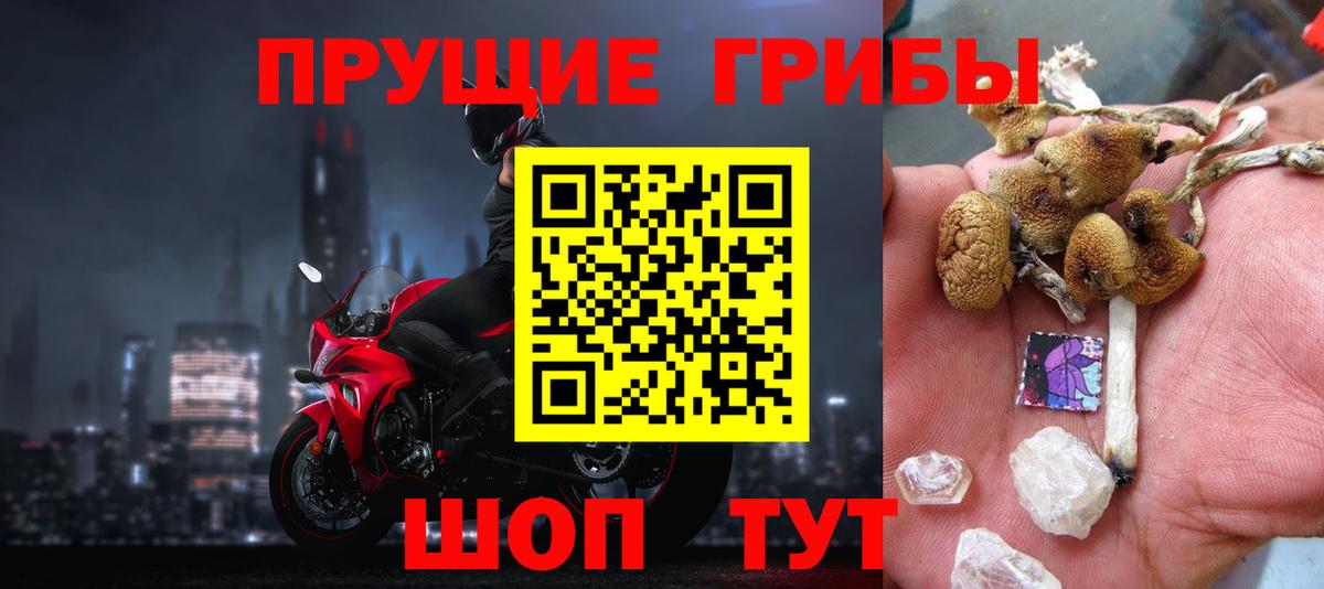 Галлюциногенные грибы MAGIC MUSHROOMS Владимир
